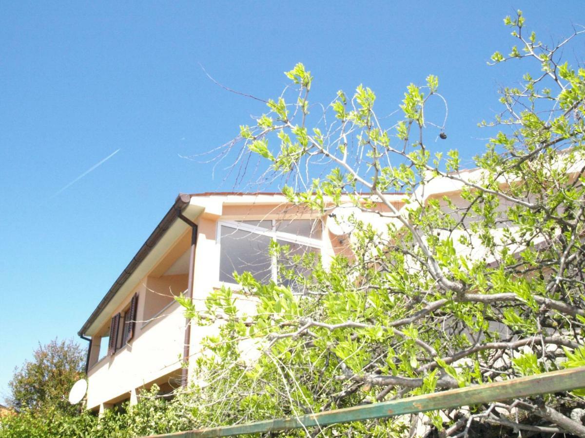 Apartman Celestina 梅杜林 外观 照片
